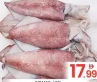 Squid