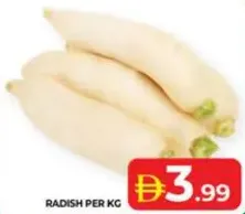 فجل