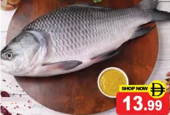 سمك روهو