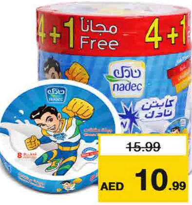 Nadec جبنة ديلايت المثلثة
