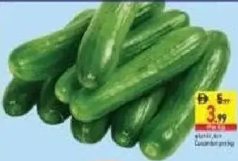 Cucumber