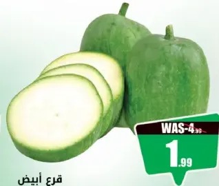 Ash Gourd