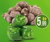 Capsicum Green / Arvi China