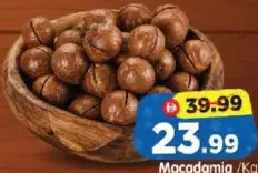 مكاديميا