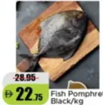 Fish Pomphret Black