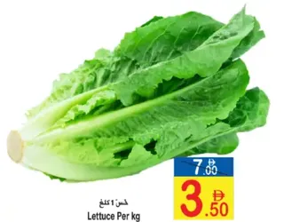 Lettuce