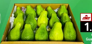 جوافة مصرية