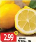 Lemon Africa