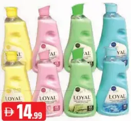 Loyal Fabric Softner Assorted