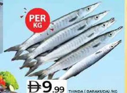 Thinda (Baracuda)