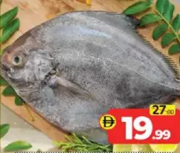 Black Pomfret Fish