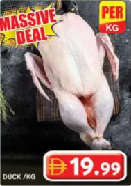 جيرمانيا بط