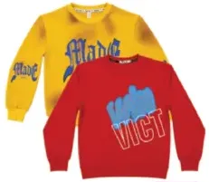 Boys Sweatshirt