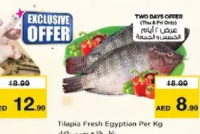 Tilapia Fresh Egyption