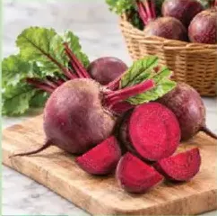 شمندر