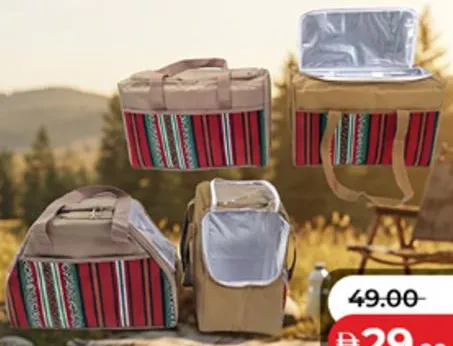 Picnic Bag MD-34207