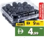 Blueberries