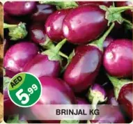 Brinjal