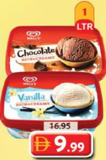 Wall's Ice Cream Vanilla /Chocolate