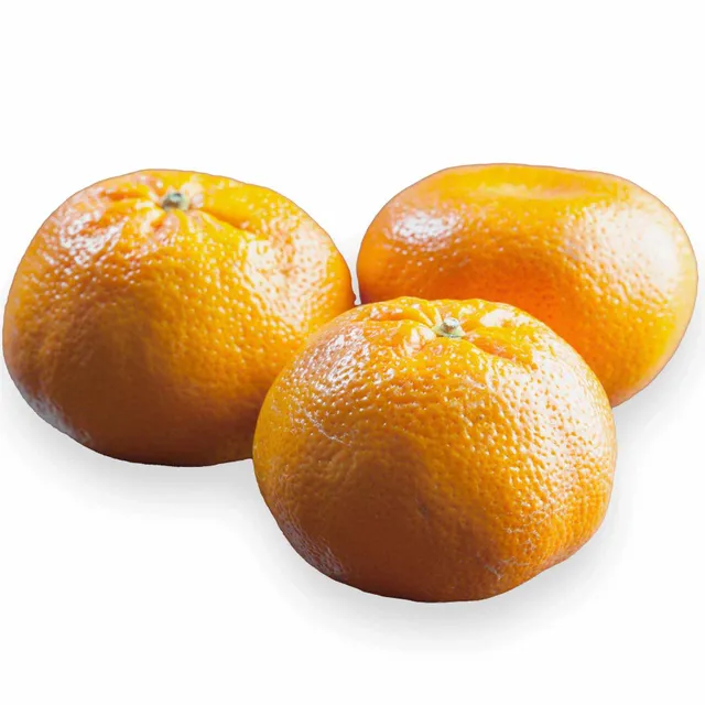 Carrefour Mandarine Nadorcott