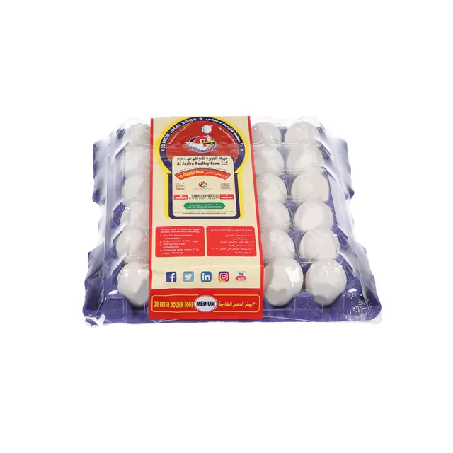 Al Jazira White/Brown Eggs Small