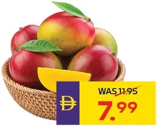 Mango Naomi Egypt