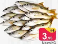 Nicer