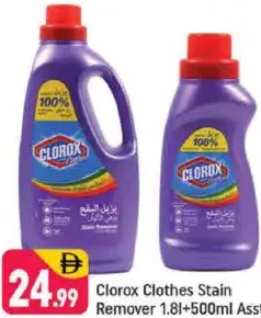 Clorox Clothes Stain Remover Assorted