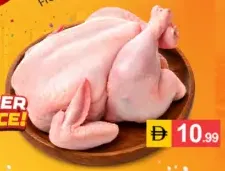 دجاج طازج