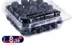 Blueberry Box
