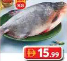 سمك زبيدي طازج