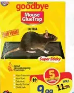 Goodbye Rat Killer