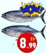 Tuna Fish