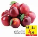 تفاح أحمر