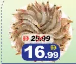 Prawns