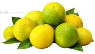 Lime Egypt