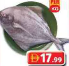 سمك زبيدي أسود طازج
