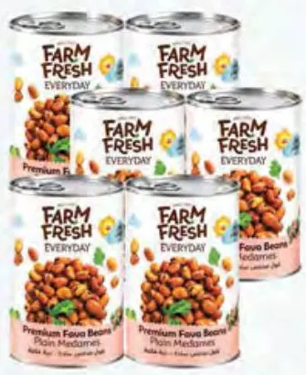 Farm Fresh Foul Medammes / Baked Beans In Tomato Sauce