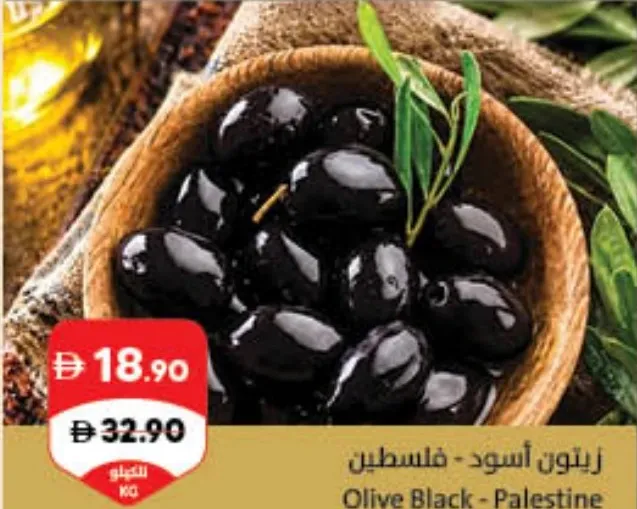 Olive Black - Palestine