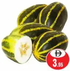 Cucumber Yellow Oman