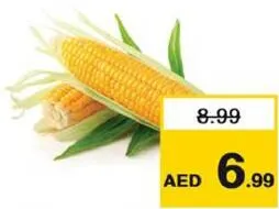 Sweet Corn