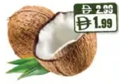 جوز الهند