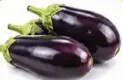 Eggplant Big