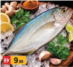Fish Faru