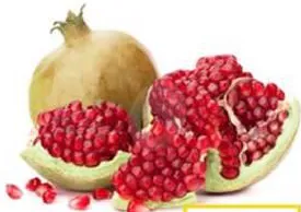 Anar Yemen