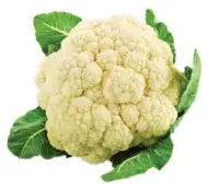 زهرة