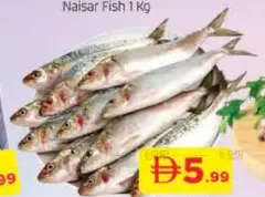 Sardines Big