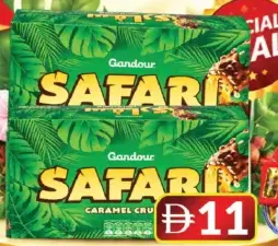 Gandour Safari