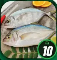 Jesh (Para) Fish
