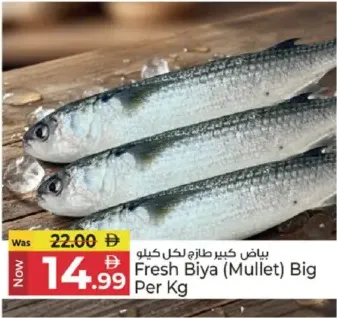 Fresh Biya (Mullet) Big